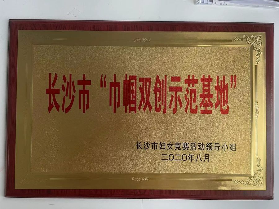 段勇芝:匠心赋能守初心,服务社会显担当